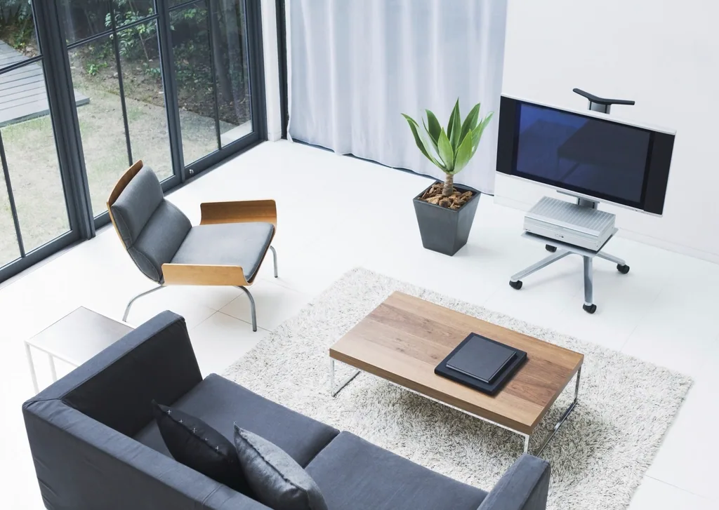 Editorial lifestyle photograph for choosing rugs for busy rooms.
